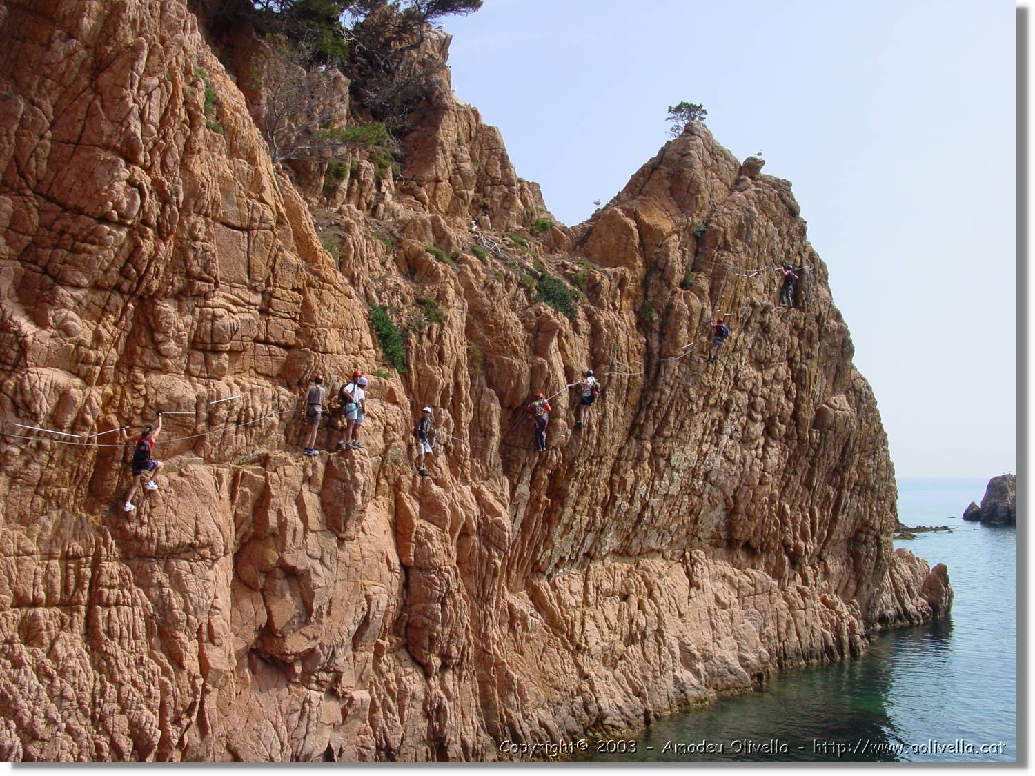 cala_046.jpg