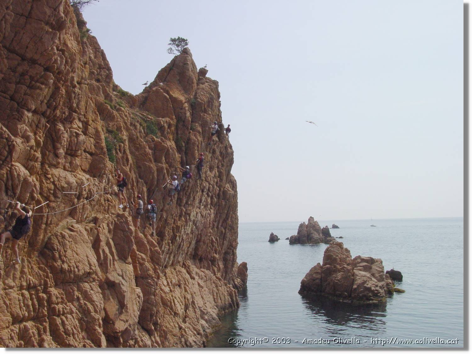 cala_047.jpg