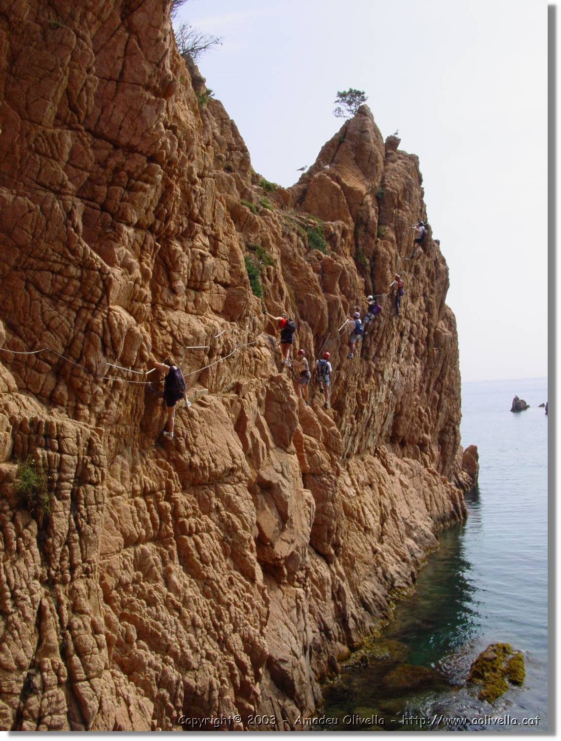 cala_048.jpg