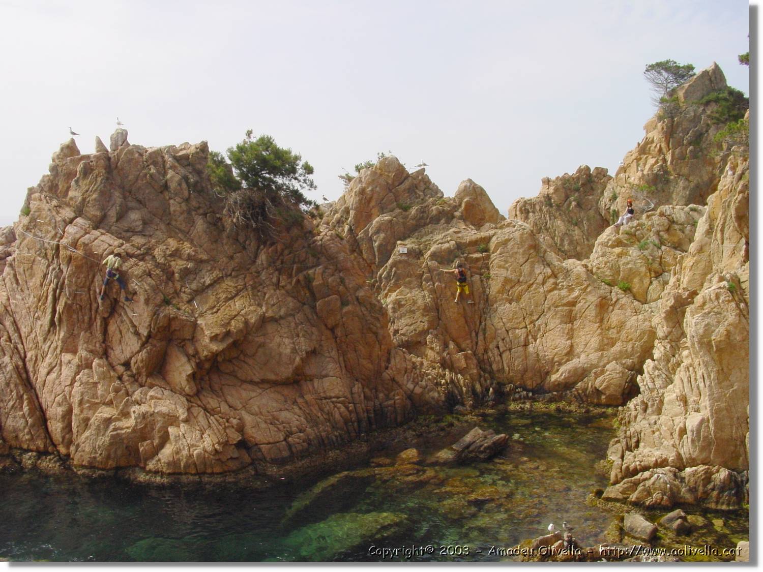 cala_052.jpg