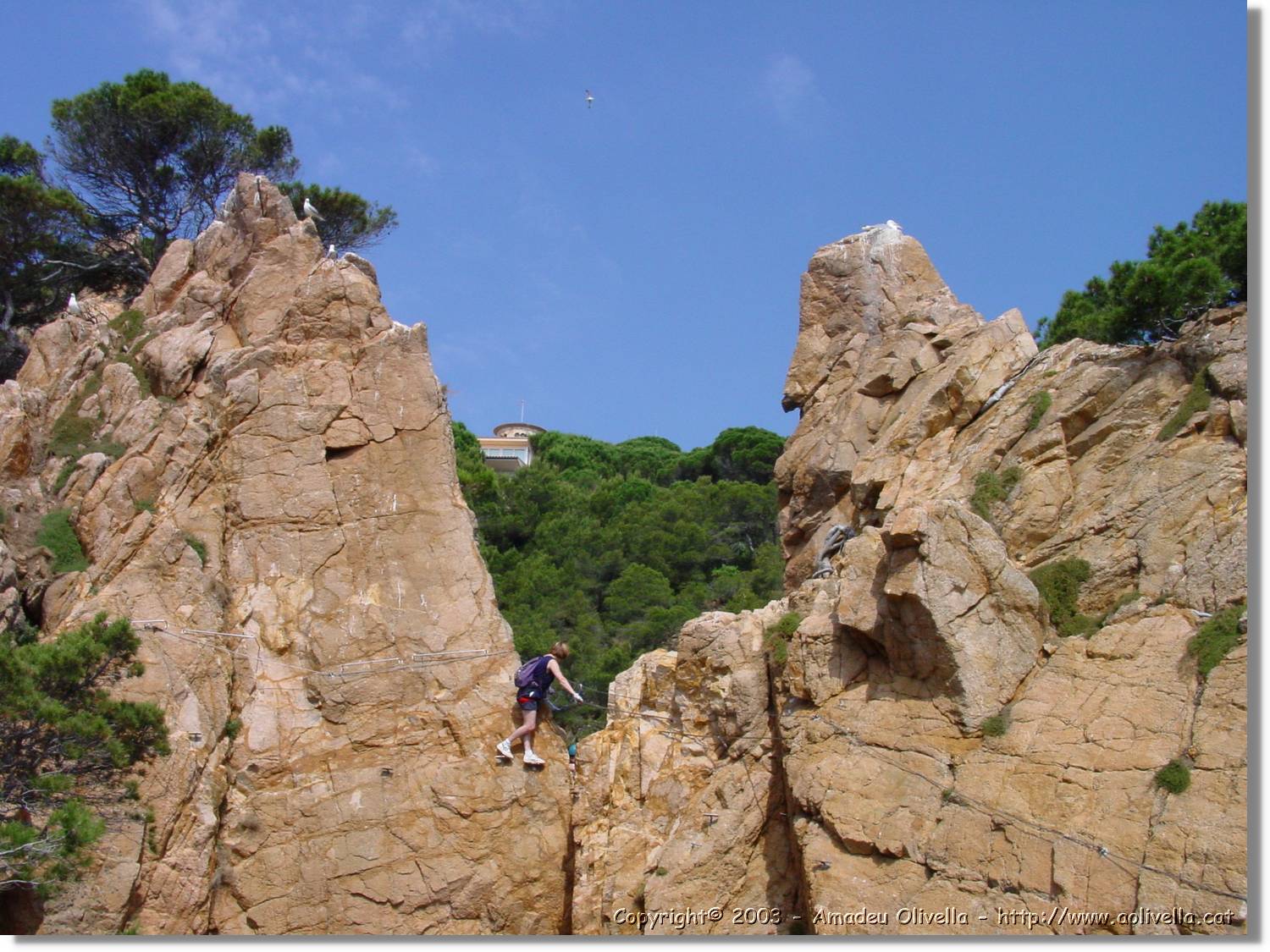 cala_053.jpg