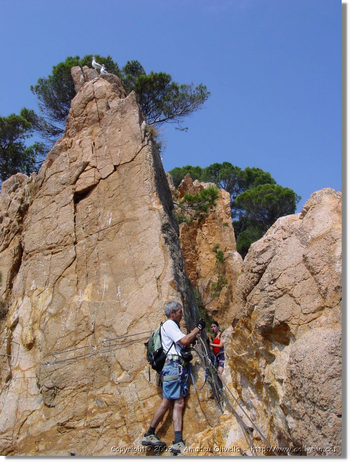 cala_058.jpg