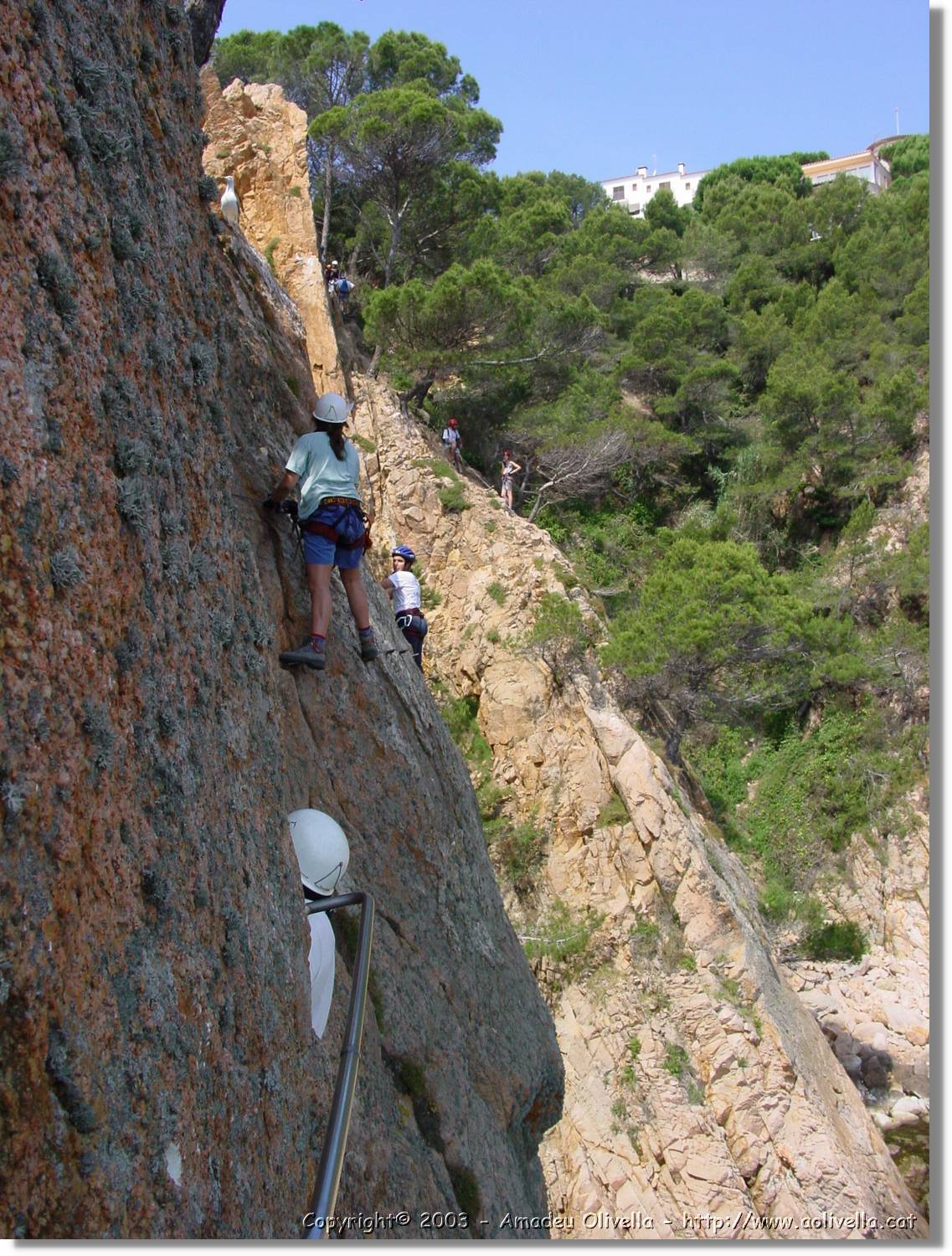 cala_061.jpg