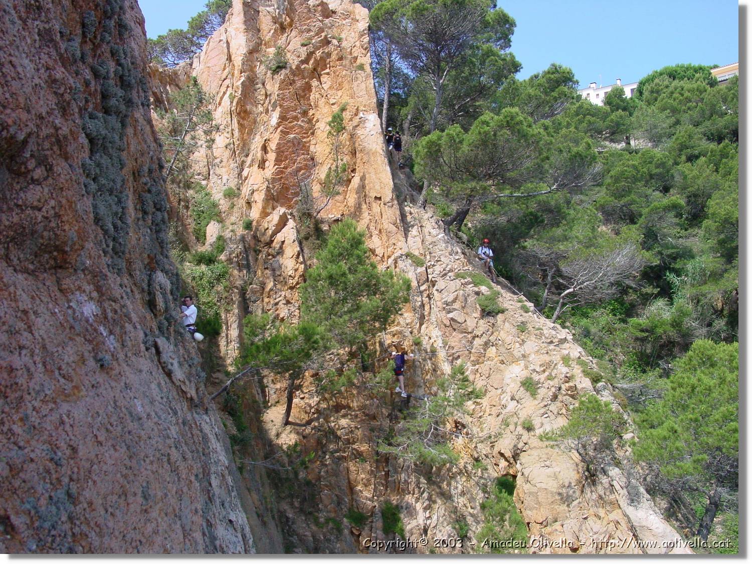 cala_063.jpg