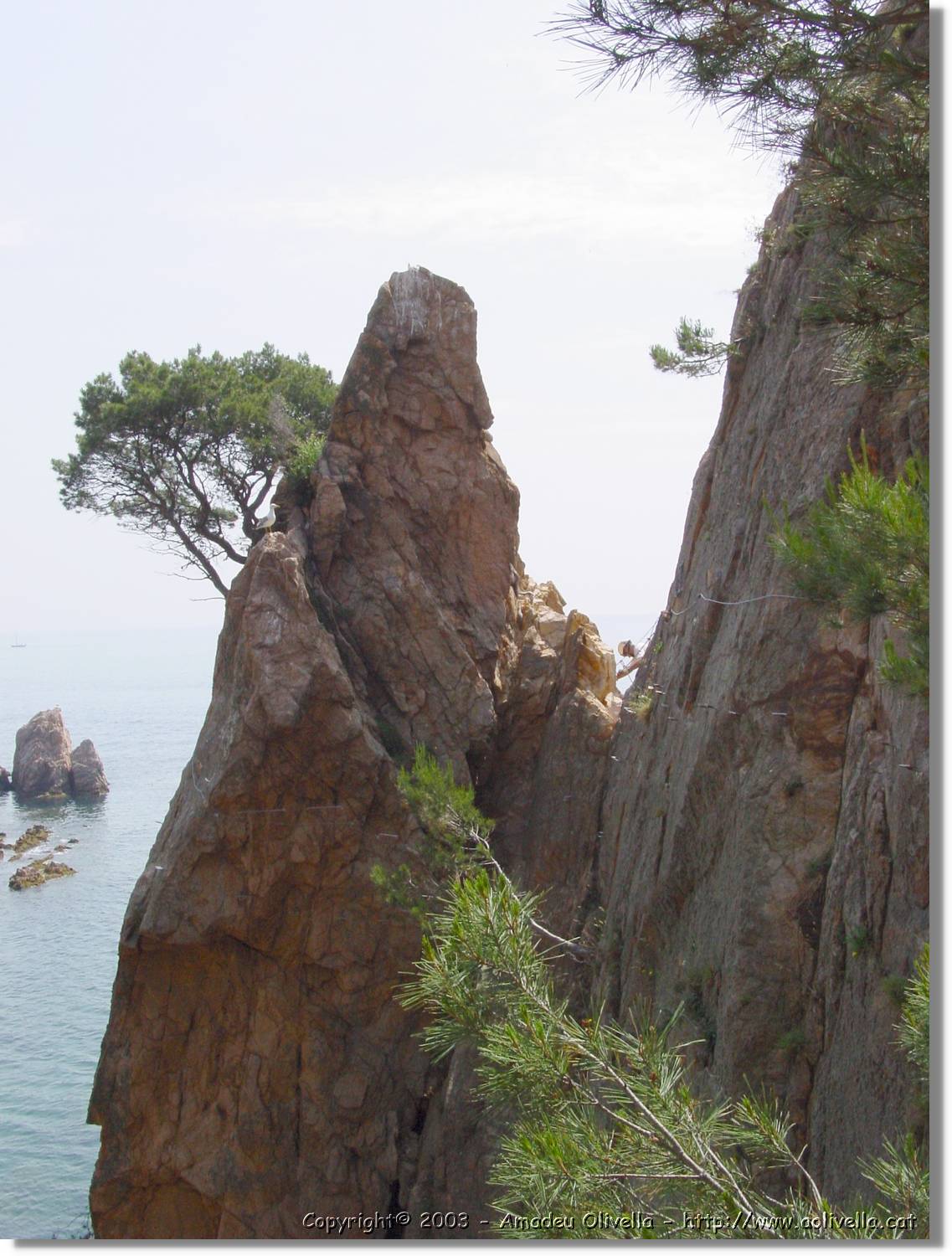 cala_066.jpg