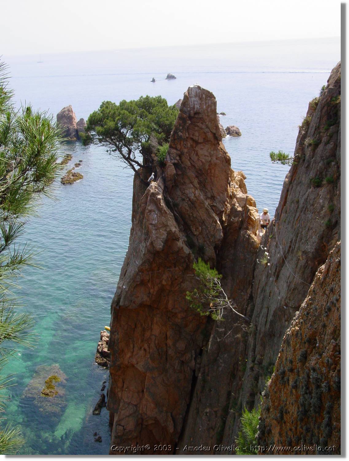 cala_067.jpg