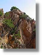 cala_008.jpg