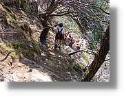 cala_010.jpg