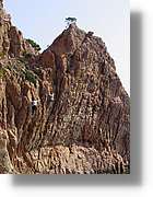 cala_014.jpg