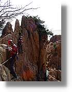 cala_015.jpg