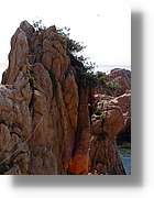 cala_017.jpg