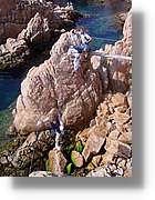 cala_026.jpg