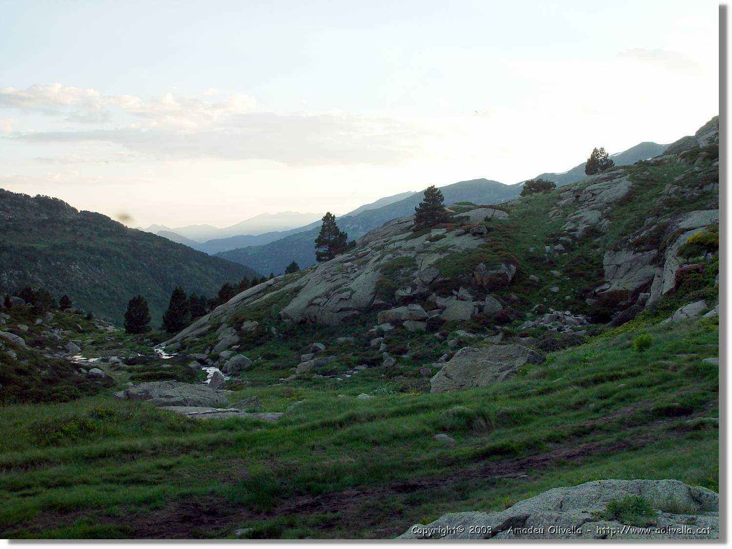 escobes_015.jpg