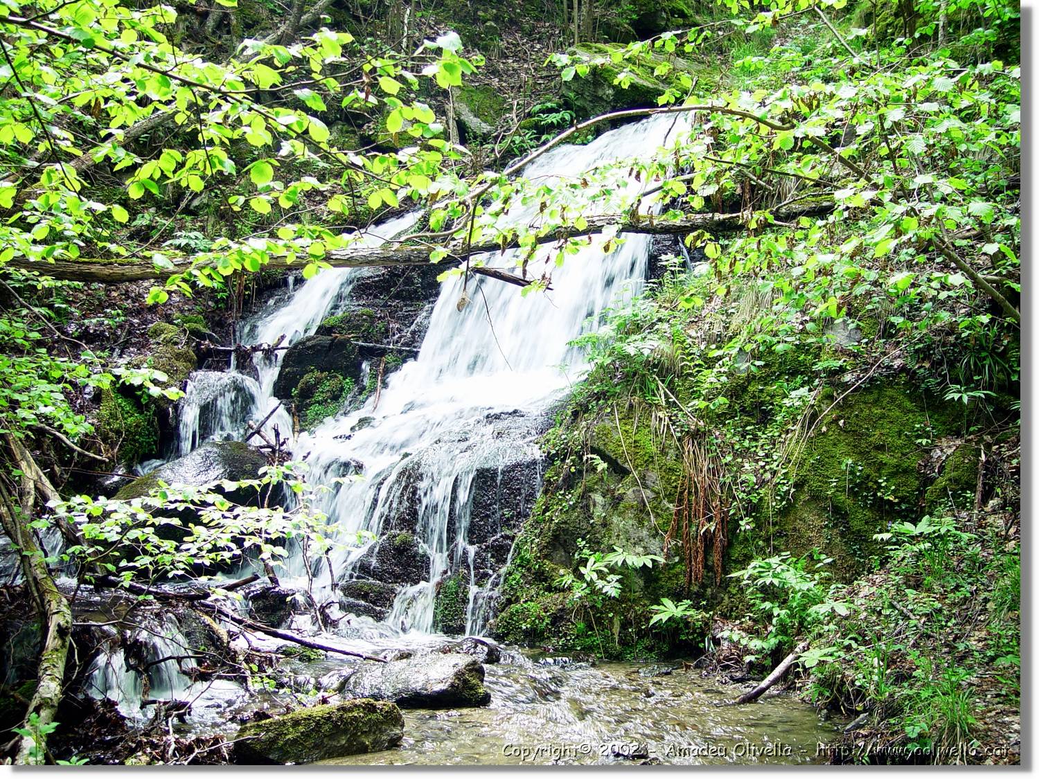 Gorges_050.jpg