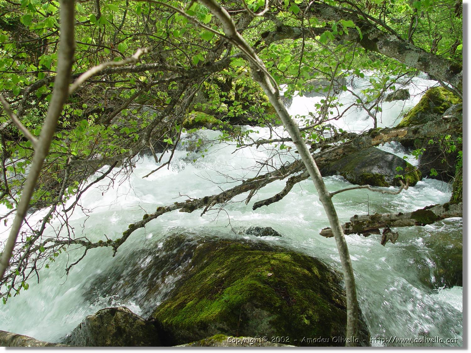 Gorges_051.jpg