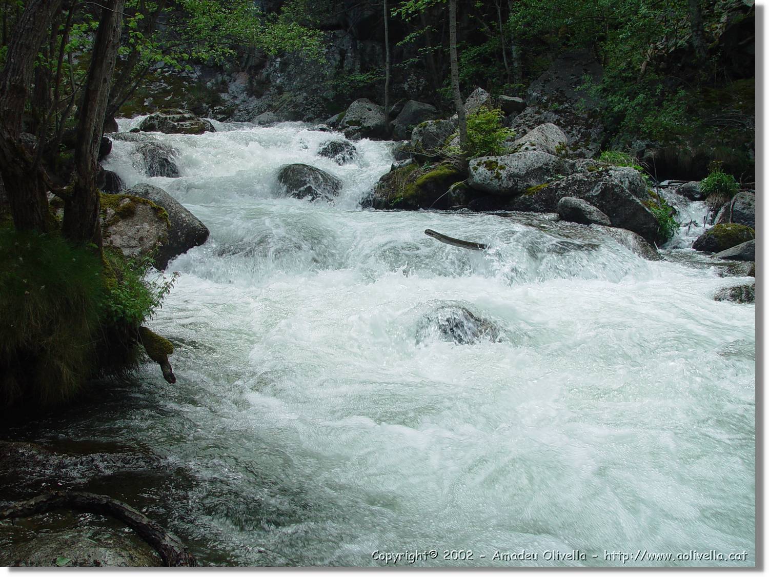 Gorges_060.jpg