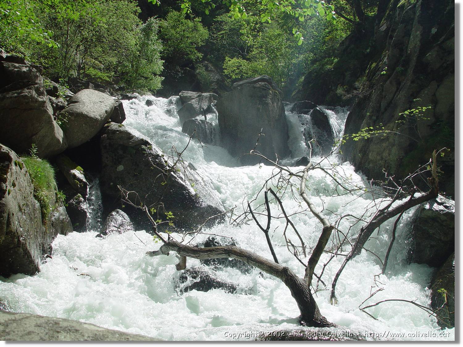 Gorges_063.jpg