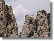 regina_286.jpg