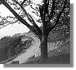 StJeroni_07.jpg