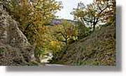 Cabrera_045.jpg