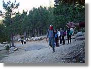 catllaras_010.jpg