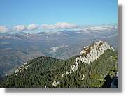 catllaras_040.jpg