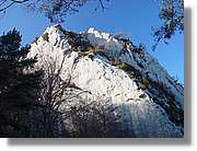 catllaras_045.jpg