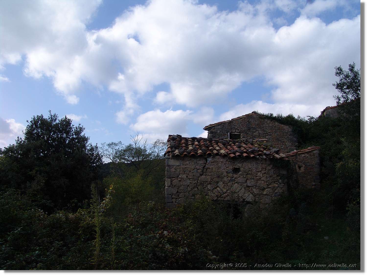 Garrotxa_019.jpg