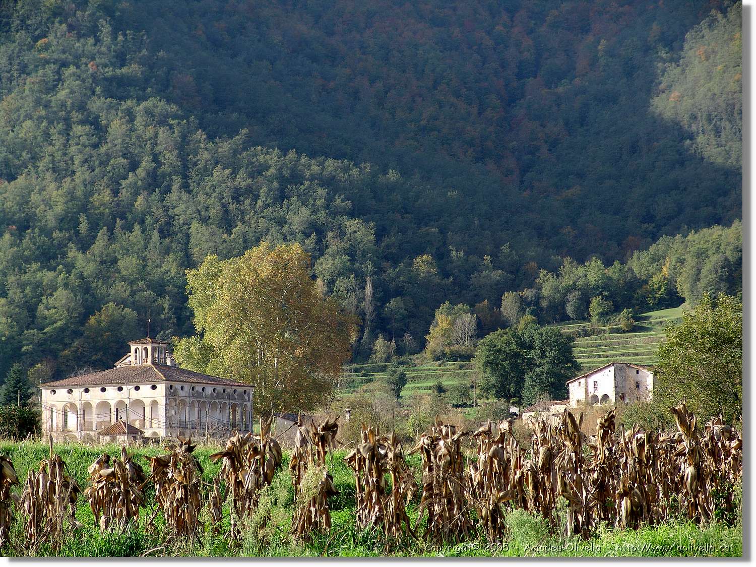 Garrotxa_081.jpg