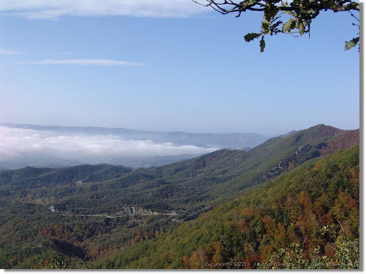 Garrotxa_096.jpg