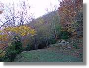 Garrotxa_126.jpg