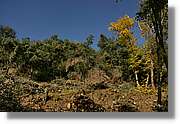 Garrotxa_022.jpg
