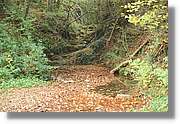 Grevolosa_012.jpg