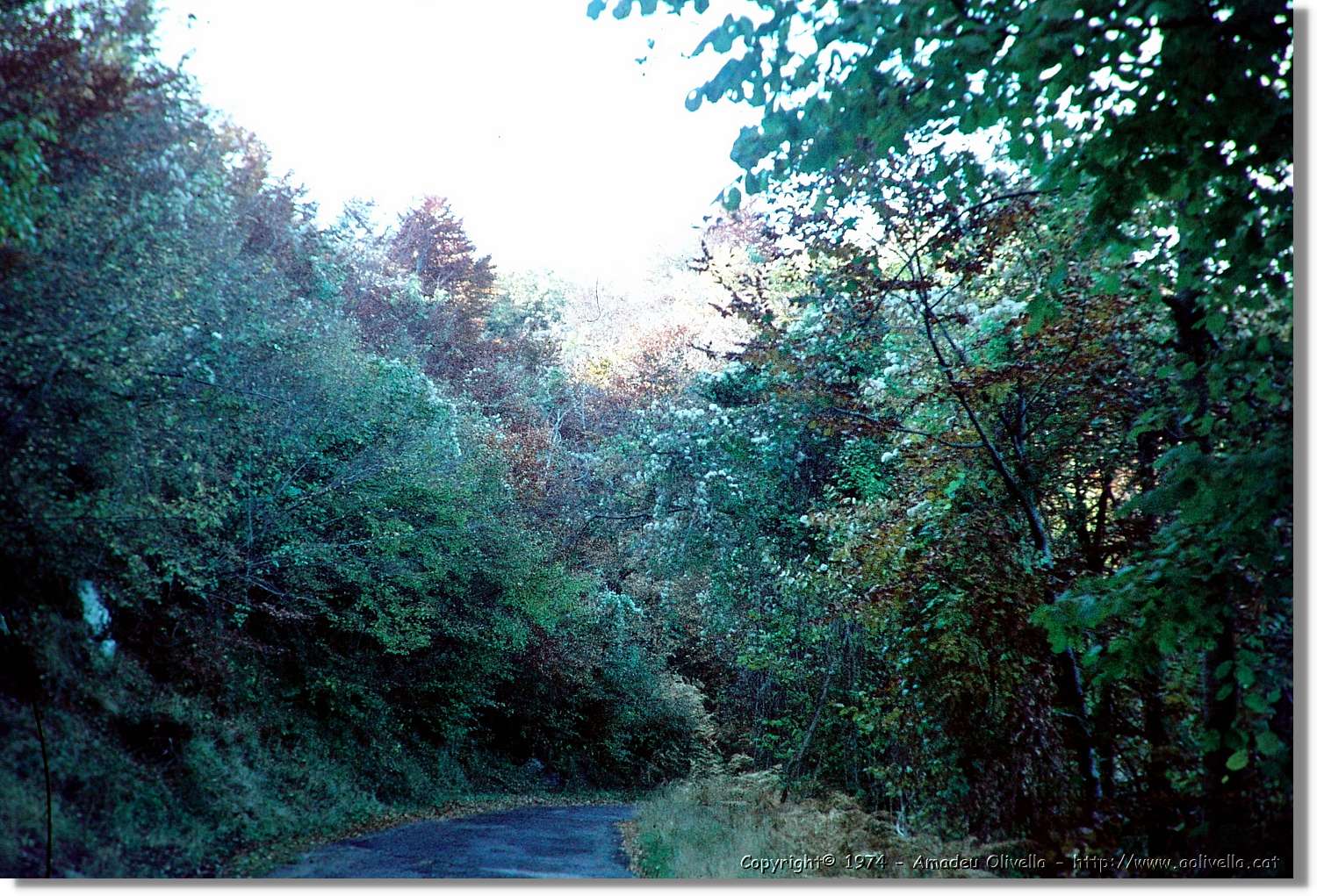 Guilleries_08.jpg