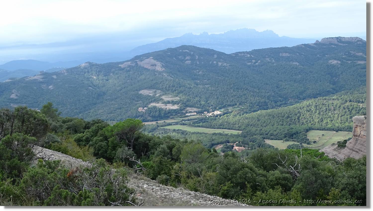 Llorenc_037.jpg