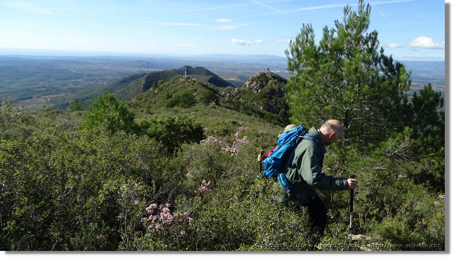 Montmell_050.jpg