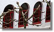 Montmeneu_006.jpg