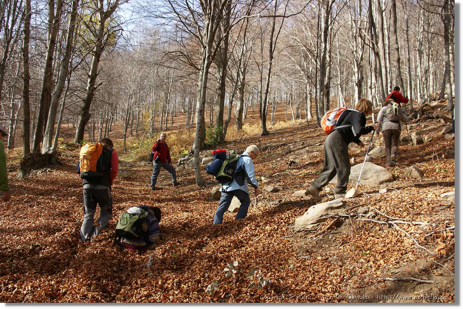 Montseny_011.jpg
