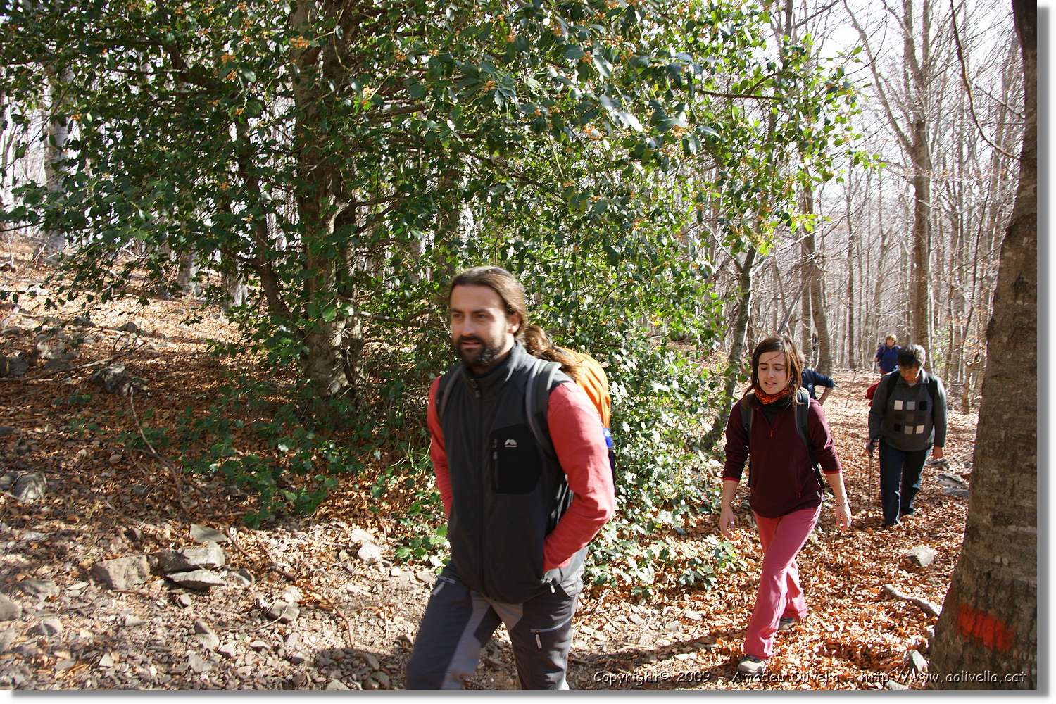 Montseny_023.jpg