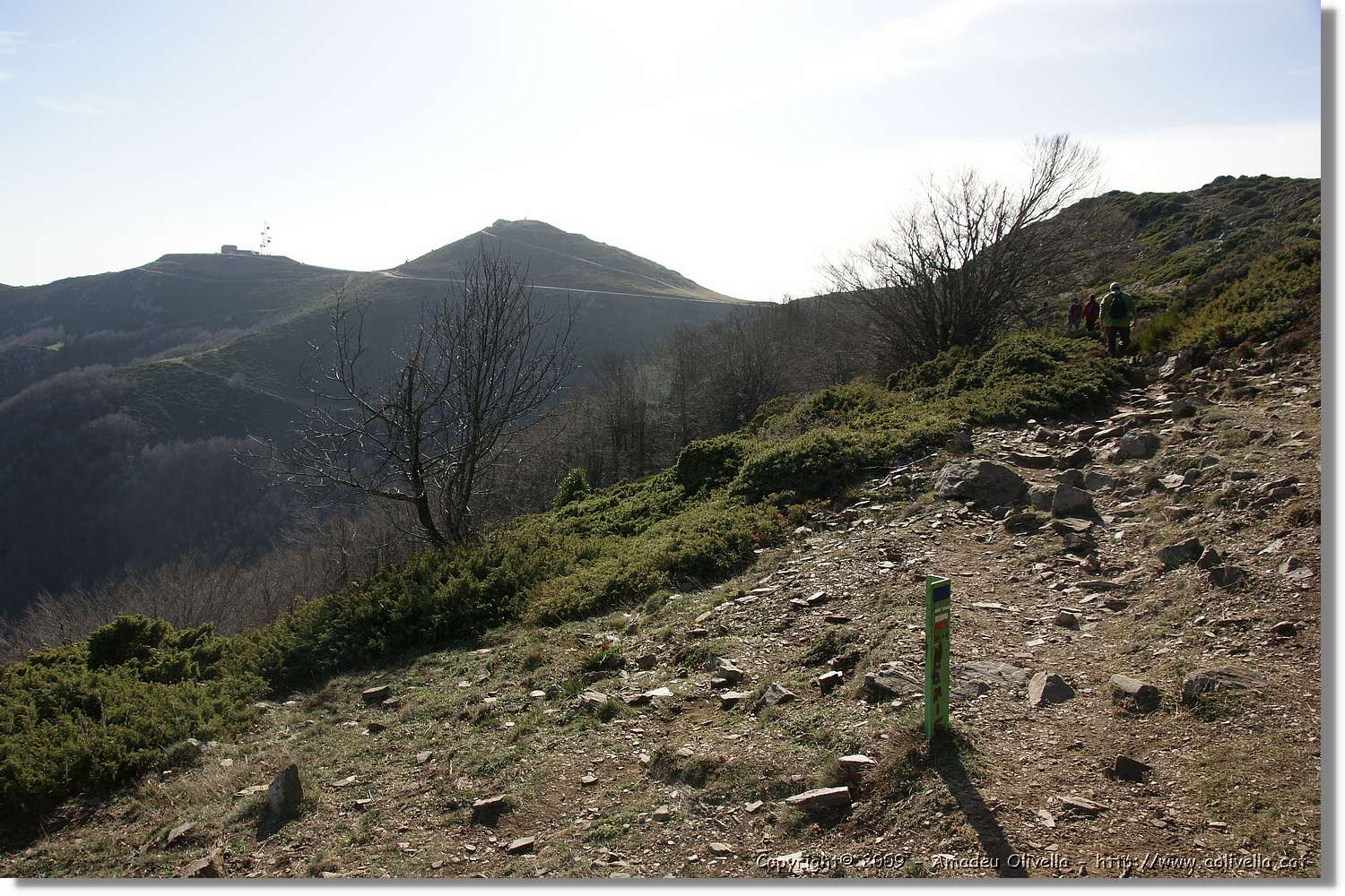 Montseny_102.jpg