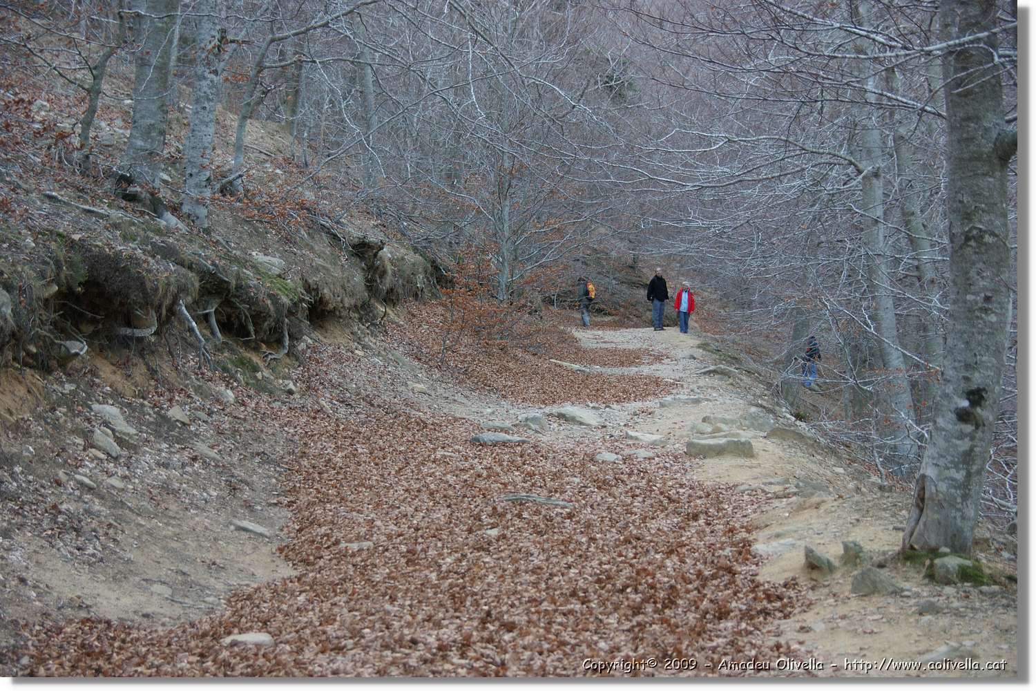 Montseny_172.jpg