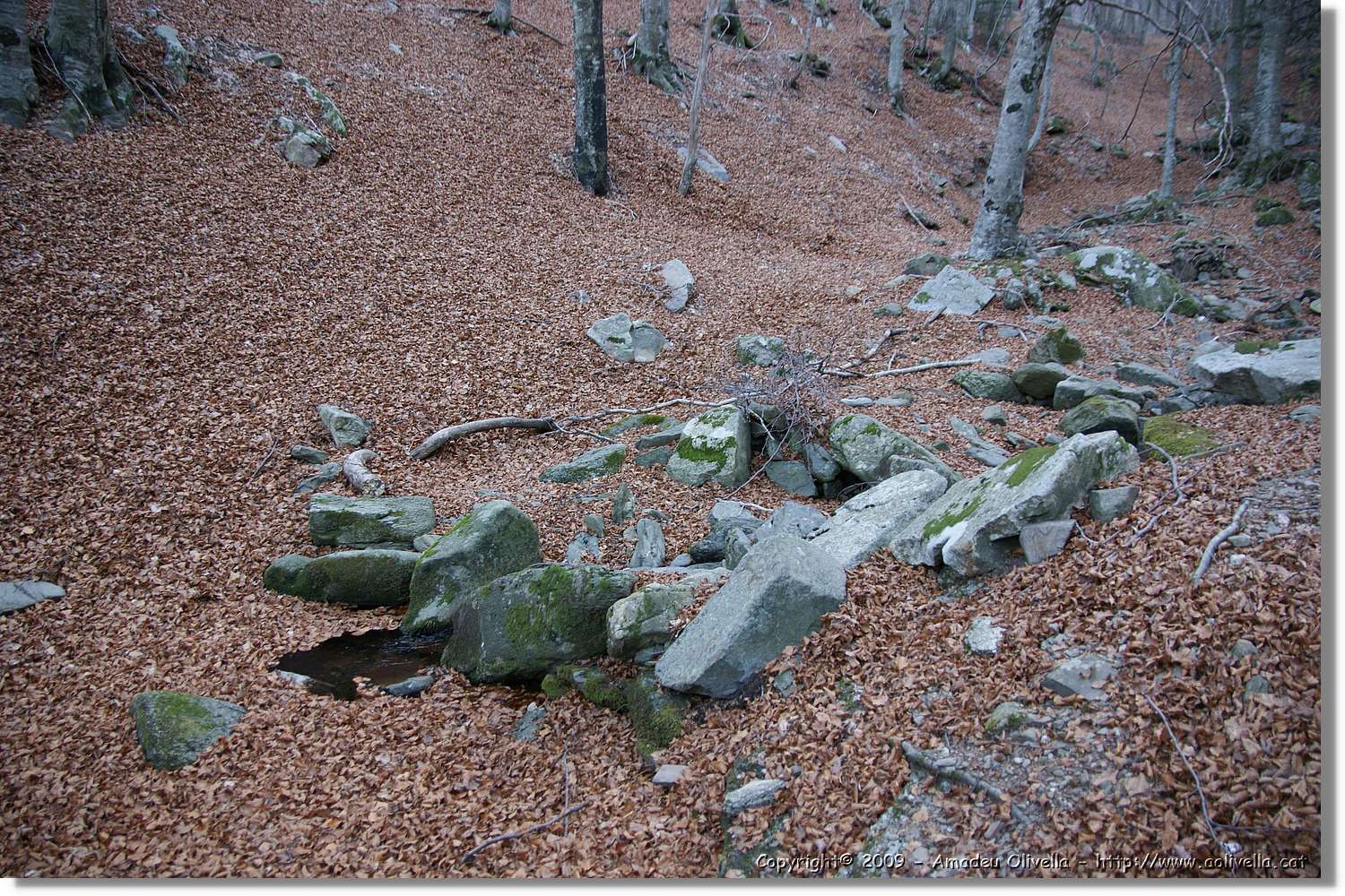 Montseny_176.jpg