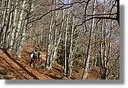 Montseny_055.jpg