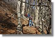 Montseny_063.jpg