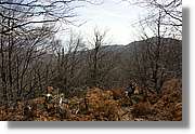 Montseny_064.jpg