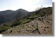 Montseny_102.jpg