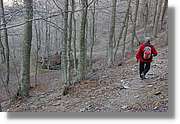 Montseny_144.jpg