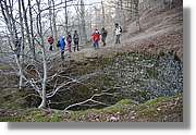 Montseny_146.jpg