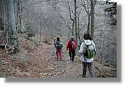 Montseny_151.jpg
