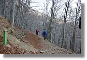 Montseny_159.jpg